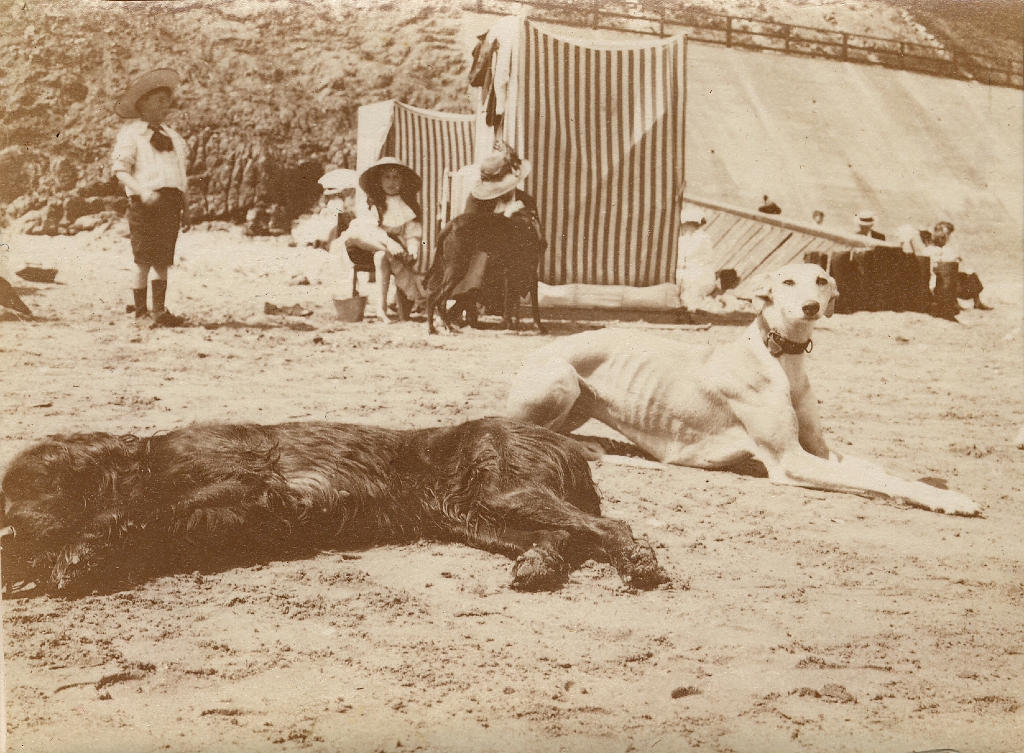 Sheringham 1913 CONSTANTINE DEMETRIADI + IONIDES DOGS.jpg